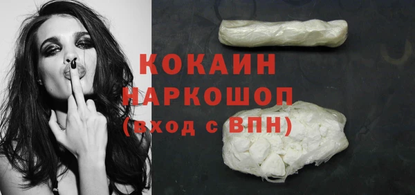 индика Протвино